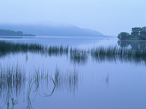 塘路湖の朝