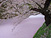 弘前城の散り桜