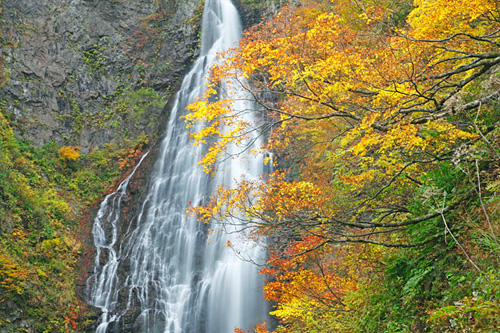 世界自然遺産：白神・くろくまの滝